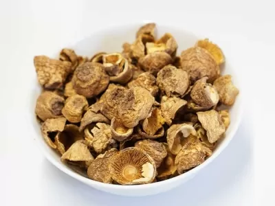 Агарик Бразильский (Agaricus blazei), гриб, плодовое тело, Жив Здоров, 50/100 г