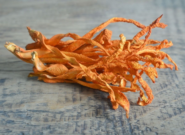 Кордицепс (Cordyceps militaris), гриб, плодовое тело, Жив Здоров, 50/100 г Кордицепс (Cordyceps militaris), гриб, плодовое тело, Жив Здоров, 50/100 г