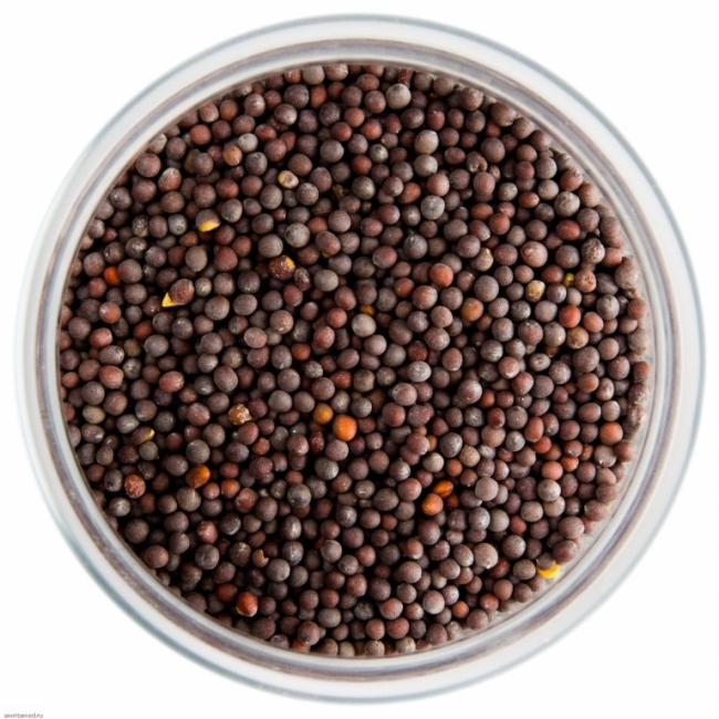 Горчица черная семена (Mustard Black), Золото Индии, 30г/100г/1кг Горчица черная семена (Mustard Black), Золото Индии, 30г/100г/1кг