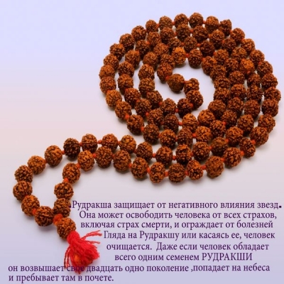 Четки Рудракша - слеза Сострадания Бога Шивы Защита (VRN7-12mm), от 10мм до 12мм 108 бусин