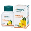 Himalaya GERIFORTE Герифорте 100 таблеток - Москва и регионы РФ
