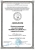 Напиток натуральный Комбуча Immuno+ "Мёд, Имбирь и Лимон", Absolute Nature, 350 мл Напиток натуральный Комбуча Immuno+ "Мёд, Имбирь и Лимон", Absolute Nature, 350 мл